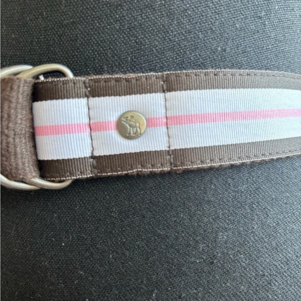 Abercrombie‎ and Fitch Canvas Belt vintage Y2K industrial layered